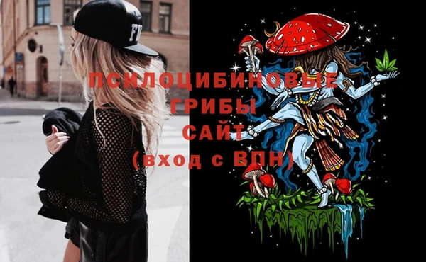 ПСИЛОЦИБИНОВЫЕ ГРИБЫ Армянск