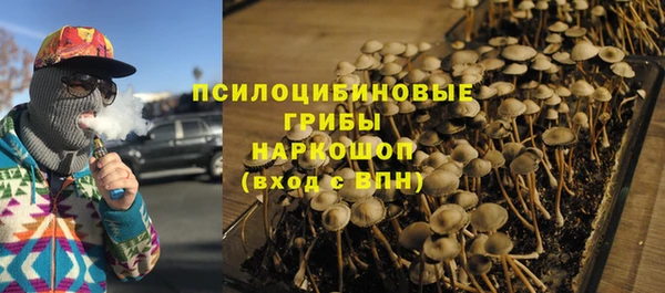 ПСИЛОЦИБИНОВЫЕ ГРИБЫ Армянск