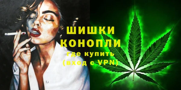 ПСИЛОЦИБИНОВЫЕ ГРИБЫ Армянск